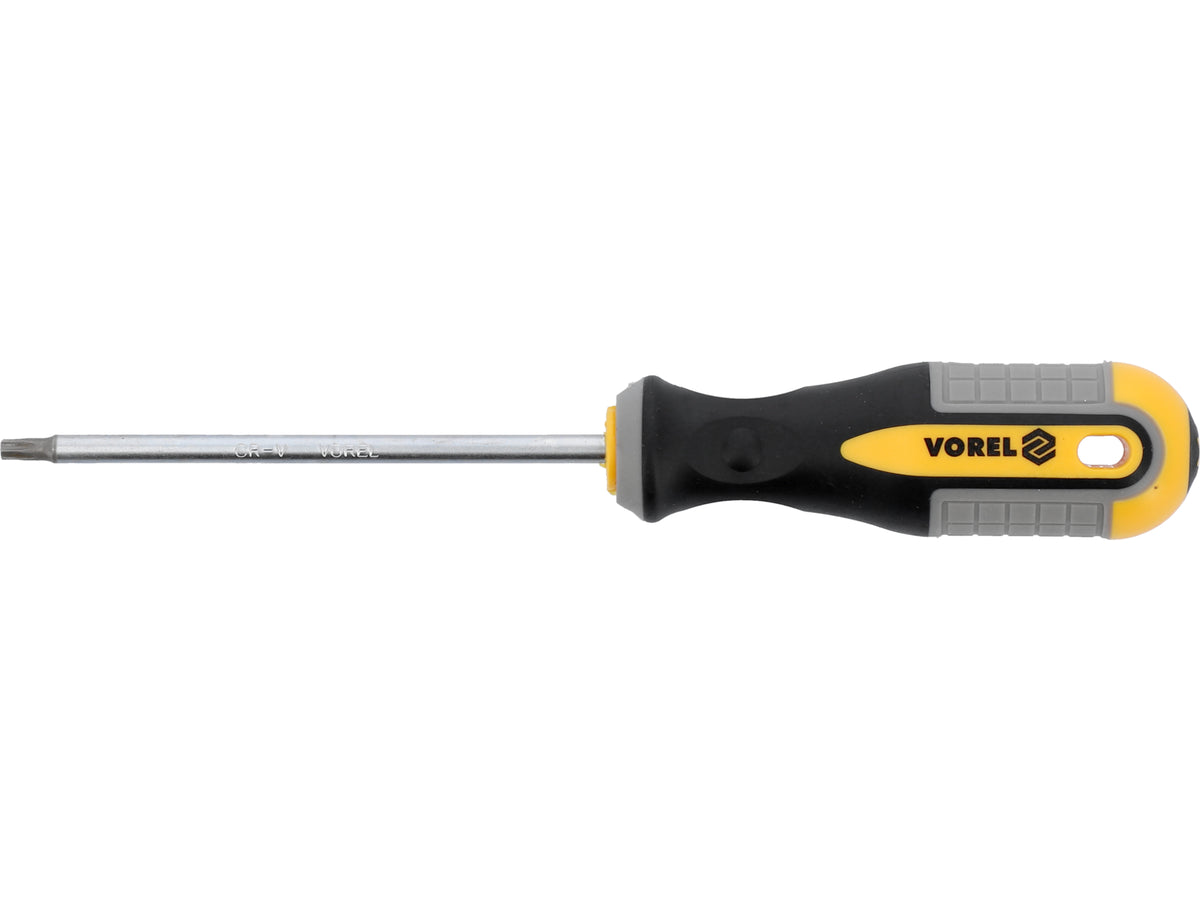 Torx-Schroevendraaier T20x100 MM CRV