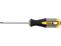 Torx-Schroevendraaier T25x100 MM CRV