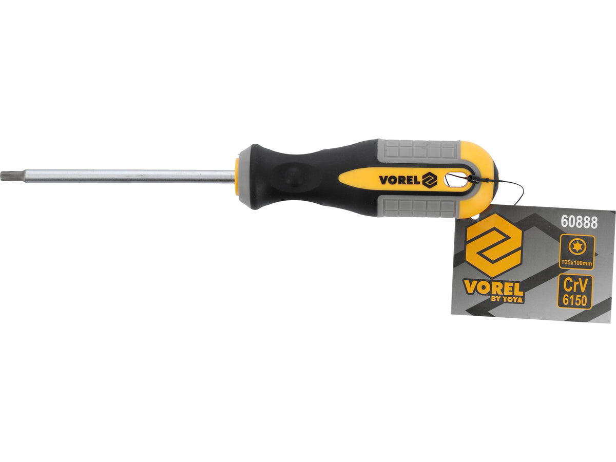 Torx-Schroevendraaier T25x100 MM CRV