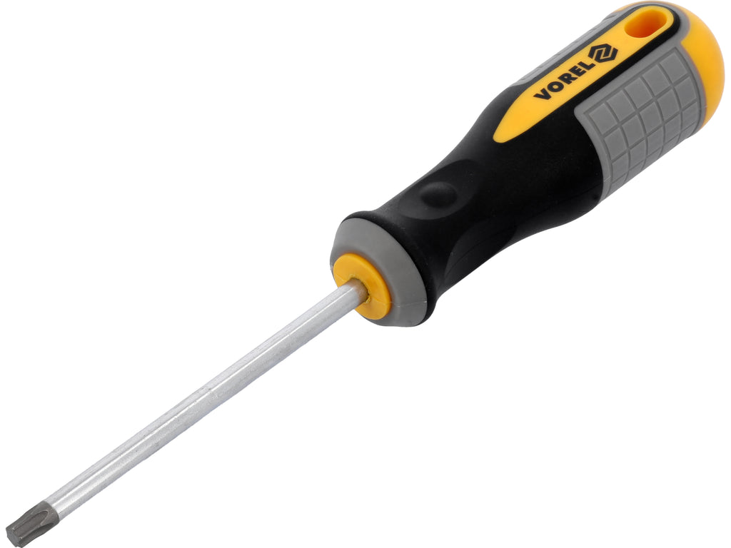Torx-Schroevendraaier T30x100 MM CRV