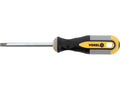 Torx-Schroevendraaier T40x100 MM CRV