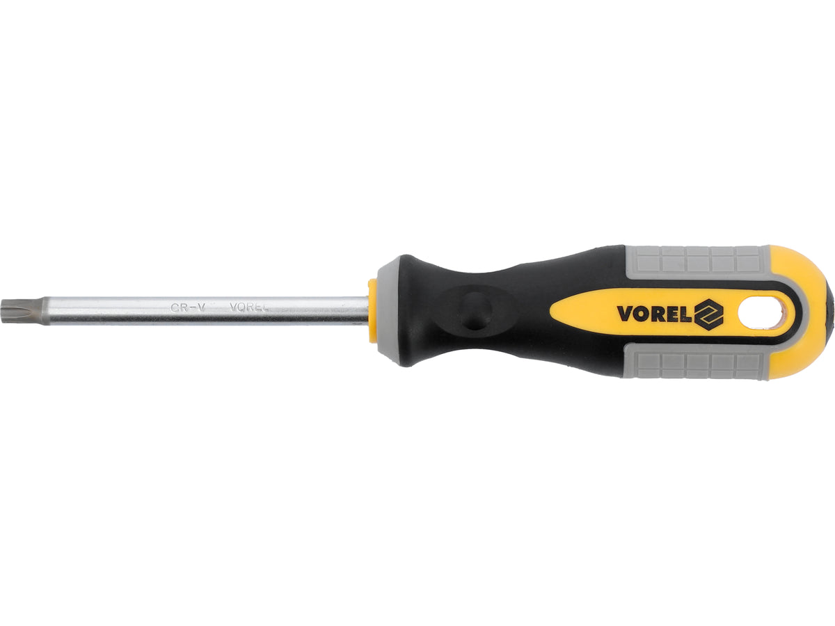Torx-Schroevendraaier T40x100 MM CRV