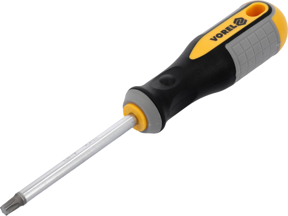 Torx-Schroevendraaier T40x100 MM CRV