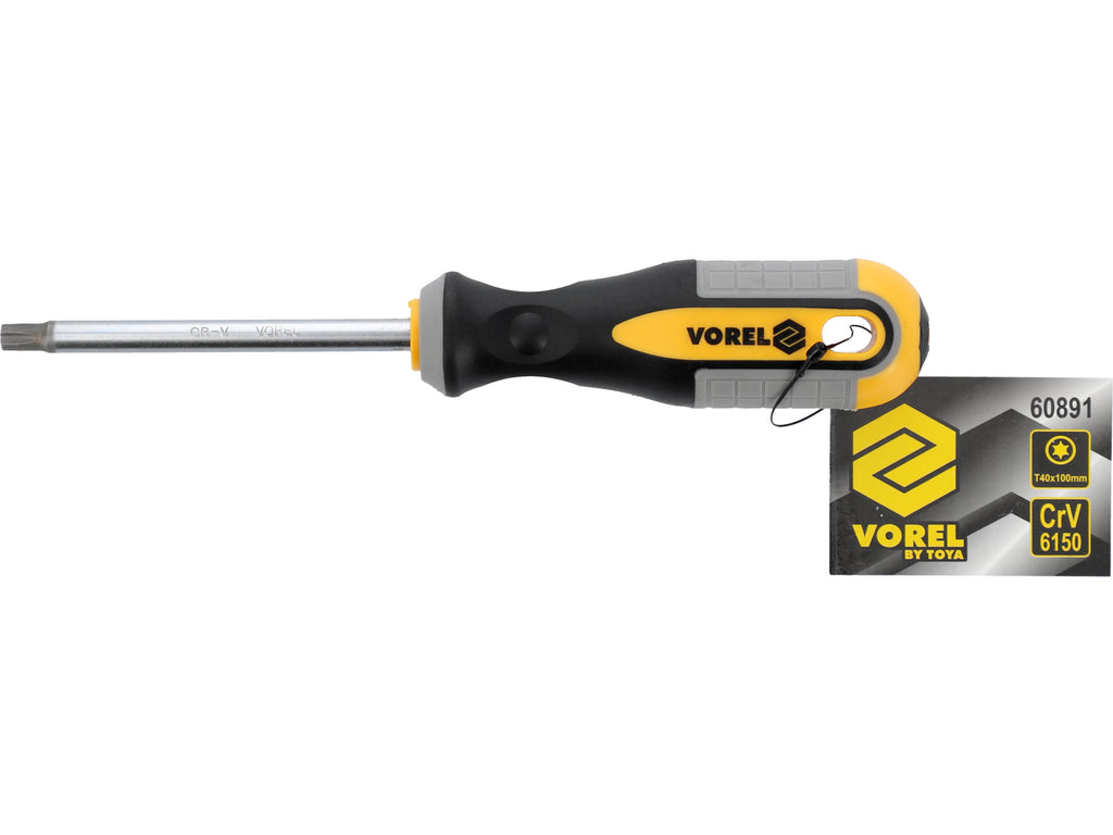 Torx-Schroevendraaier T40x100 MM CRV