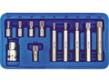 Spline Speciale Sleutels M5-M12, 11 St.