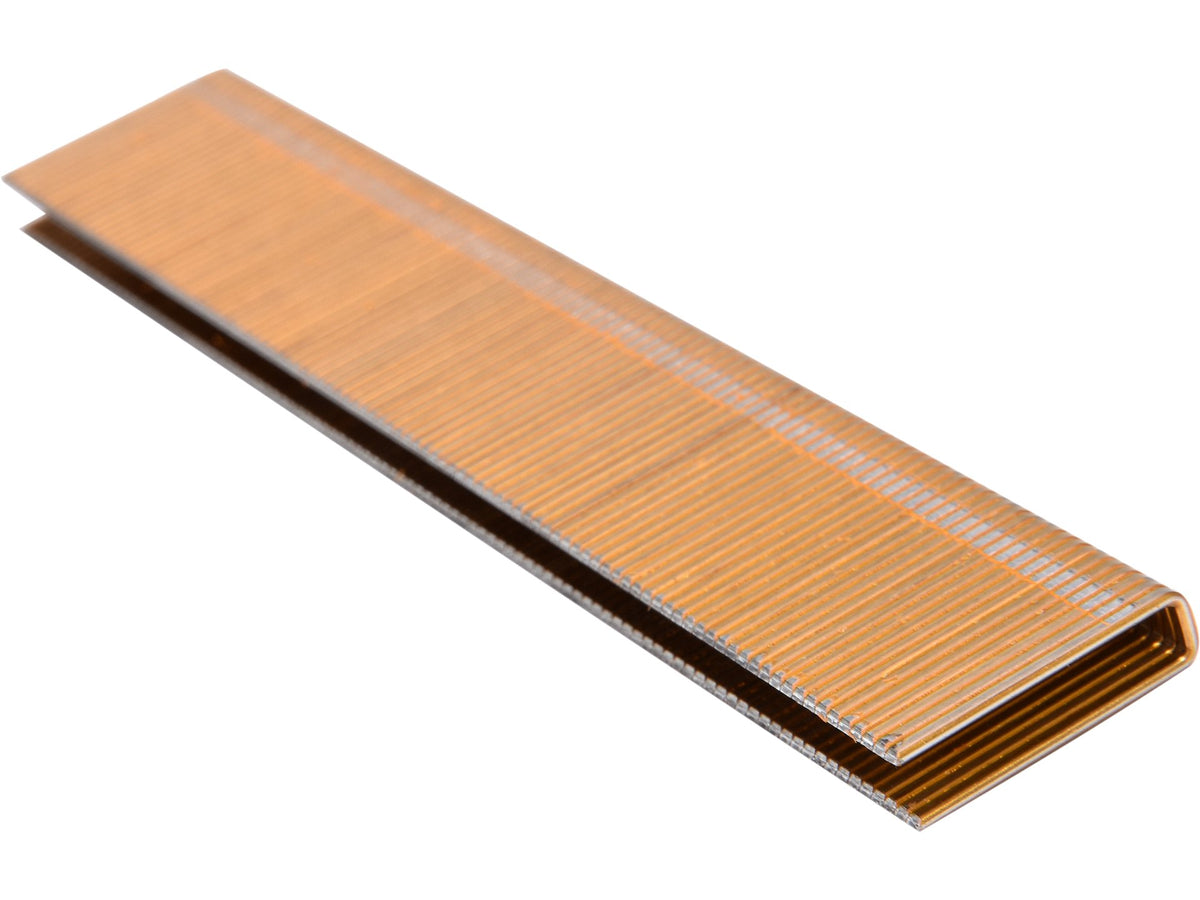 Nietjes 21X5,5MM 2200ST