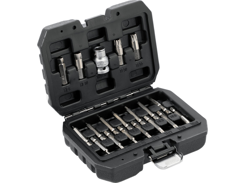 Set Bits Voor Bewerkte Schroeven