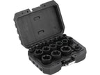 Torx Plus Doppenset 19-DELIG