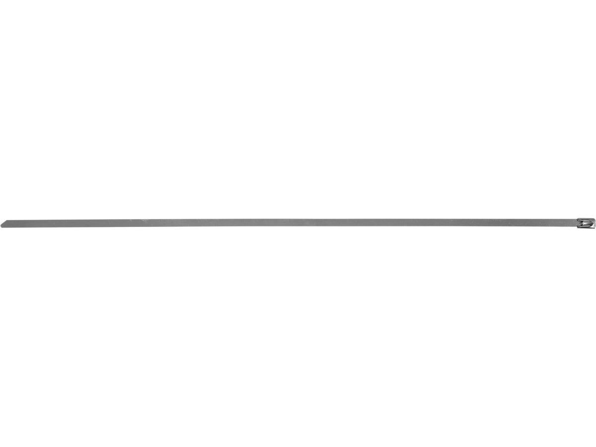 Roestvrij Stalen Klemmen 8.0X550MM 50ST.