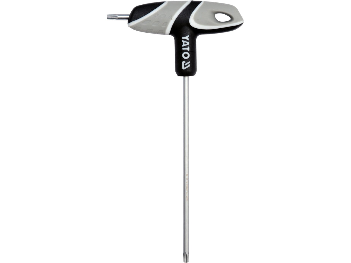 Torx Lock Slotsleutel Met T20 Handvat
