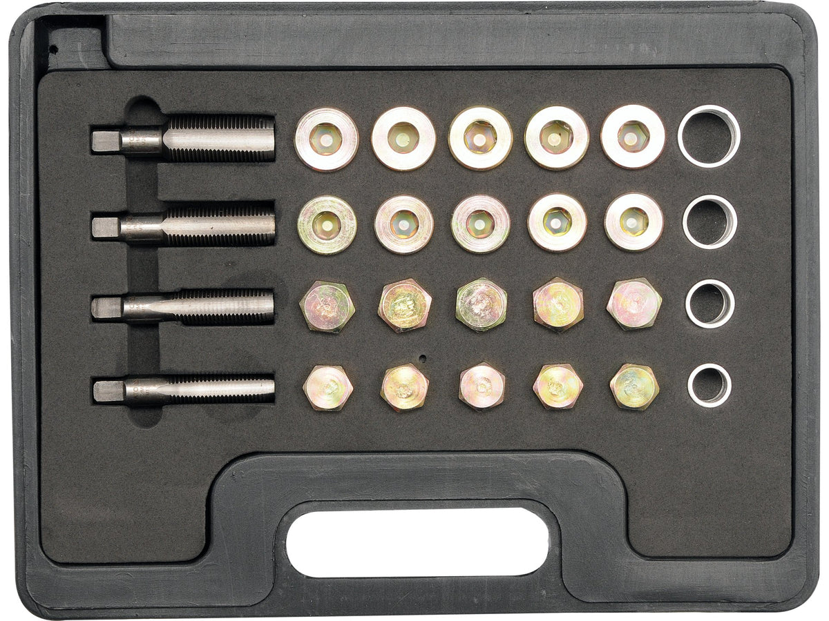 Reparatieset Oliekanplug M13-M20